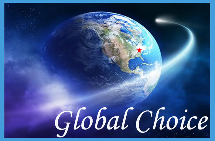 Global Choice Inc's Logo