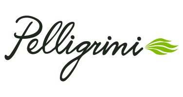 Pelligrini Solutions Inc's Logo