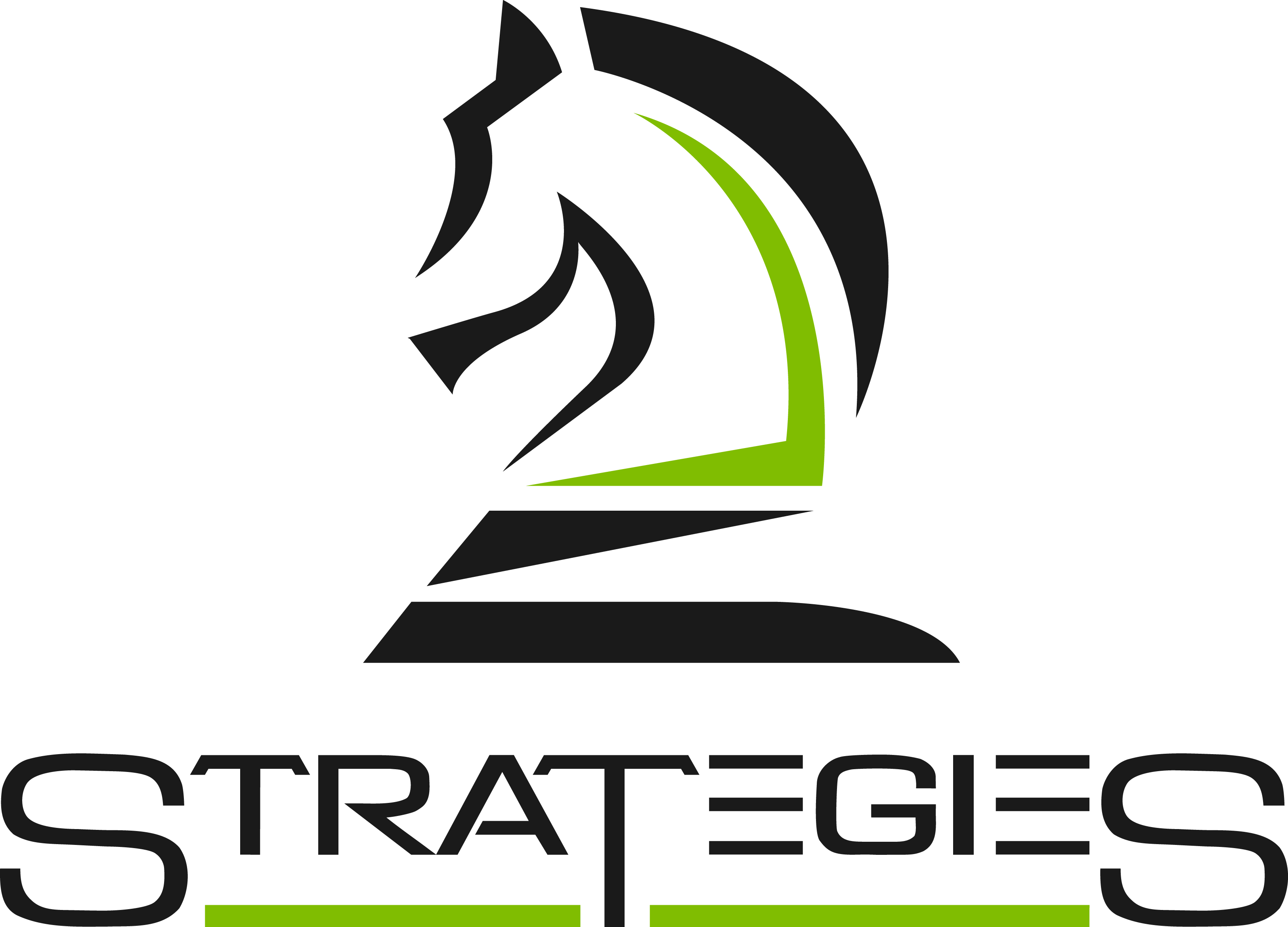 Strategies, Ltd., Appleton, WI's Logo