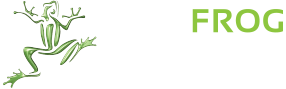 Leap Frog Promotions