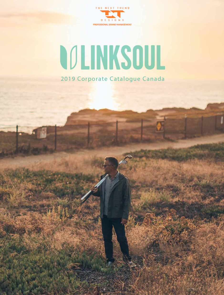 Link Soul