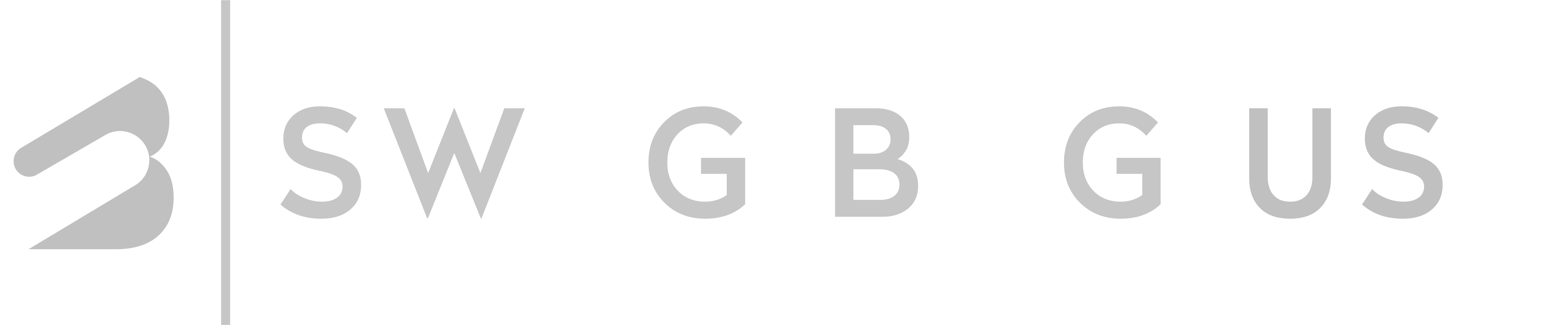 Swag Bag USA's Logo