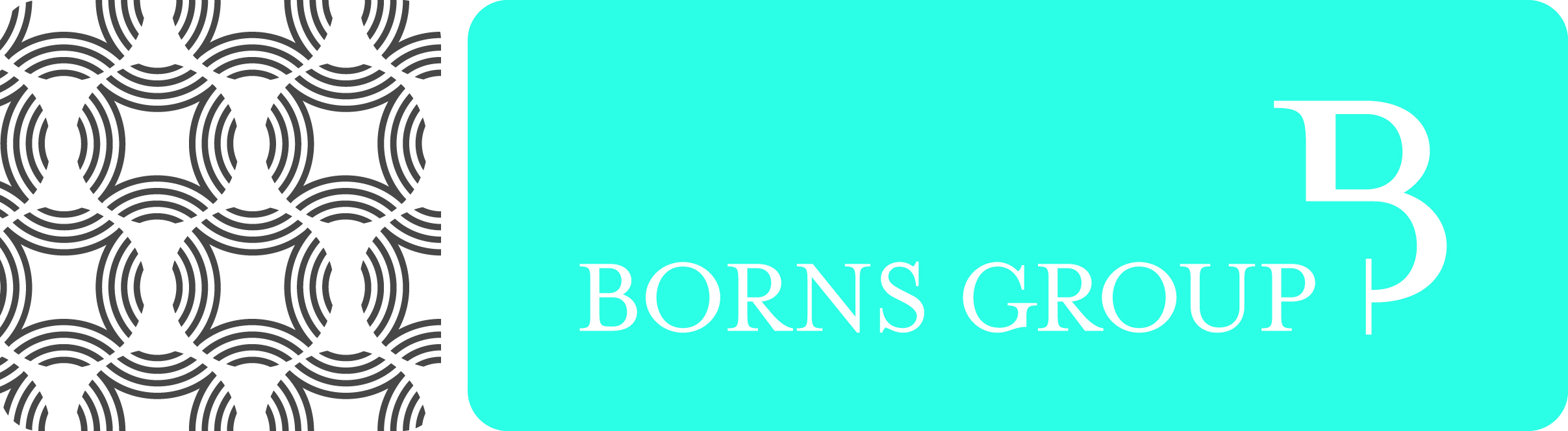 Borns Group Inc.'s Logo