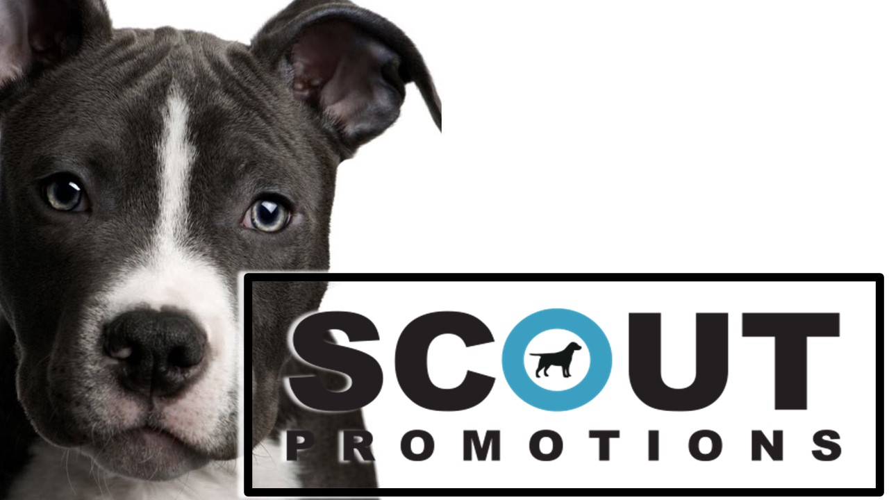 Scout Promotions, Atlanta, GA 's Logo