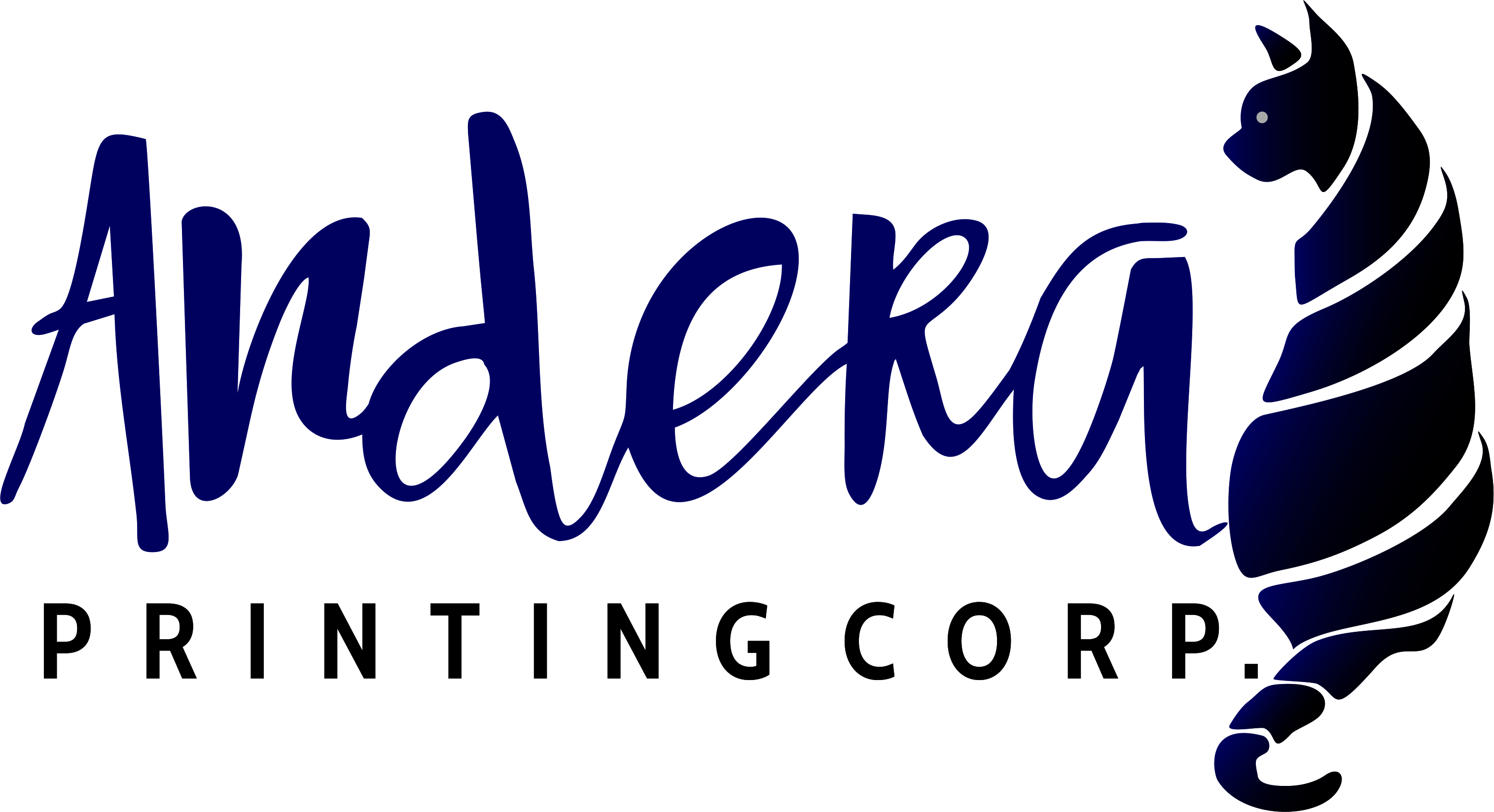 Andera Printing's Logo