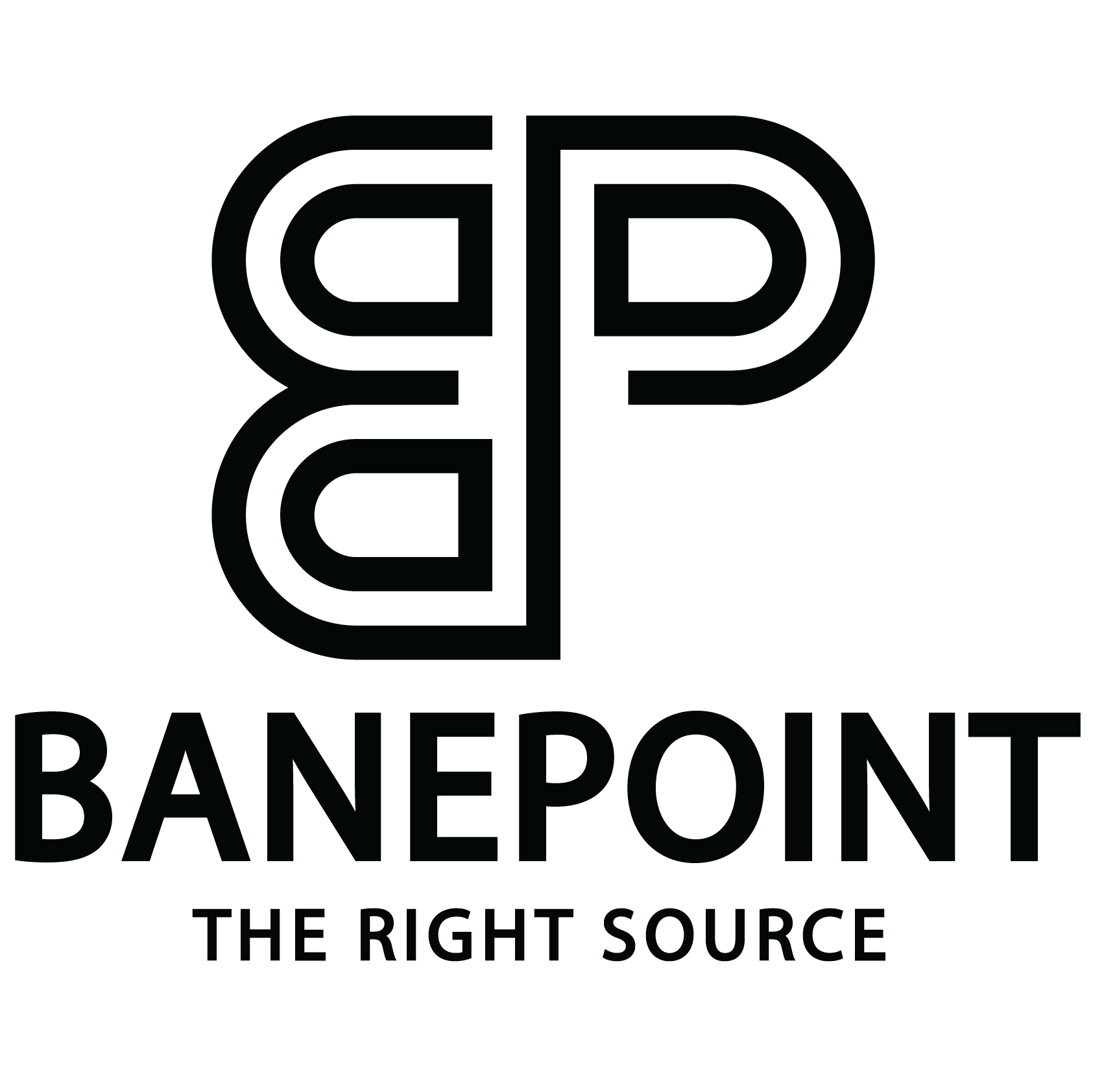Banepoint LLC's Logo