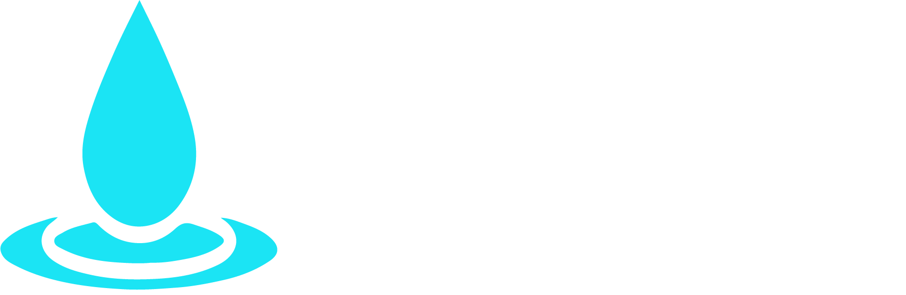 Rainwood Consulting's Logo