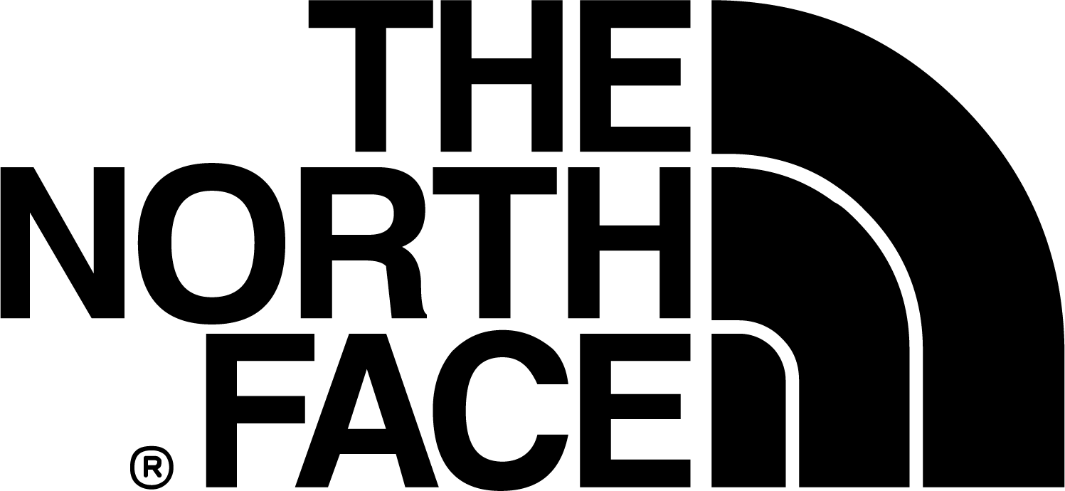 The north face brand logo