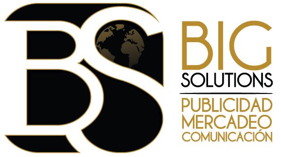 Big Solutions's Logo