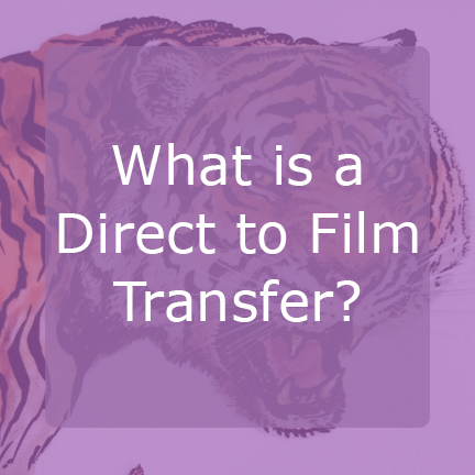 Pink square with what Direct to film transfers are font on front and tiger illustration on back