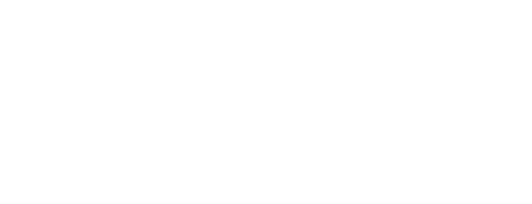 Bizport's Logo