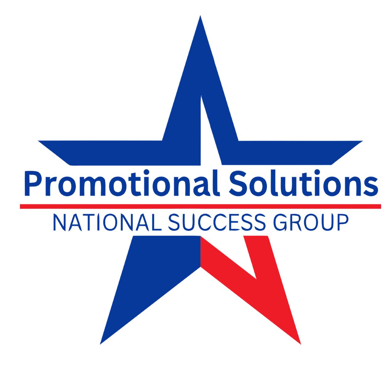 National Success Group's Logo