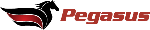 Pegasus School Images's Logo