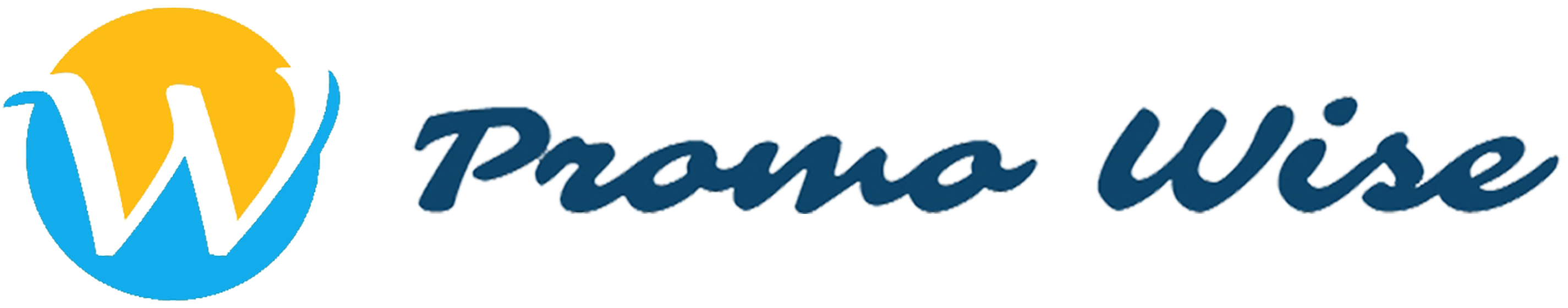 Promo Wise Inc's Logo