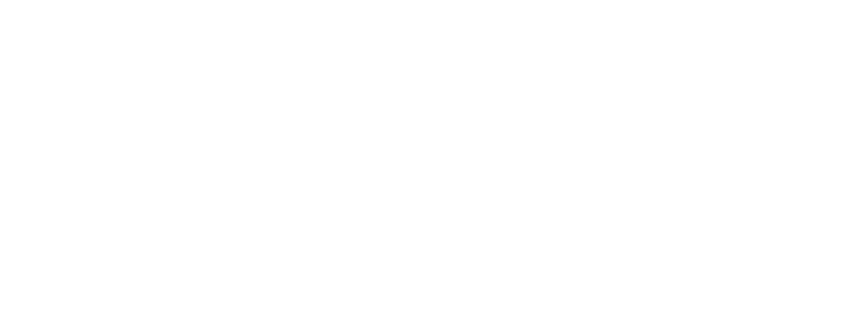 SINIX Media Group