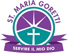 Logo Solutions Inc.'s Logo