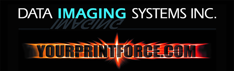 Data Imaging Systems Inc, Houston, TX 's Logo