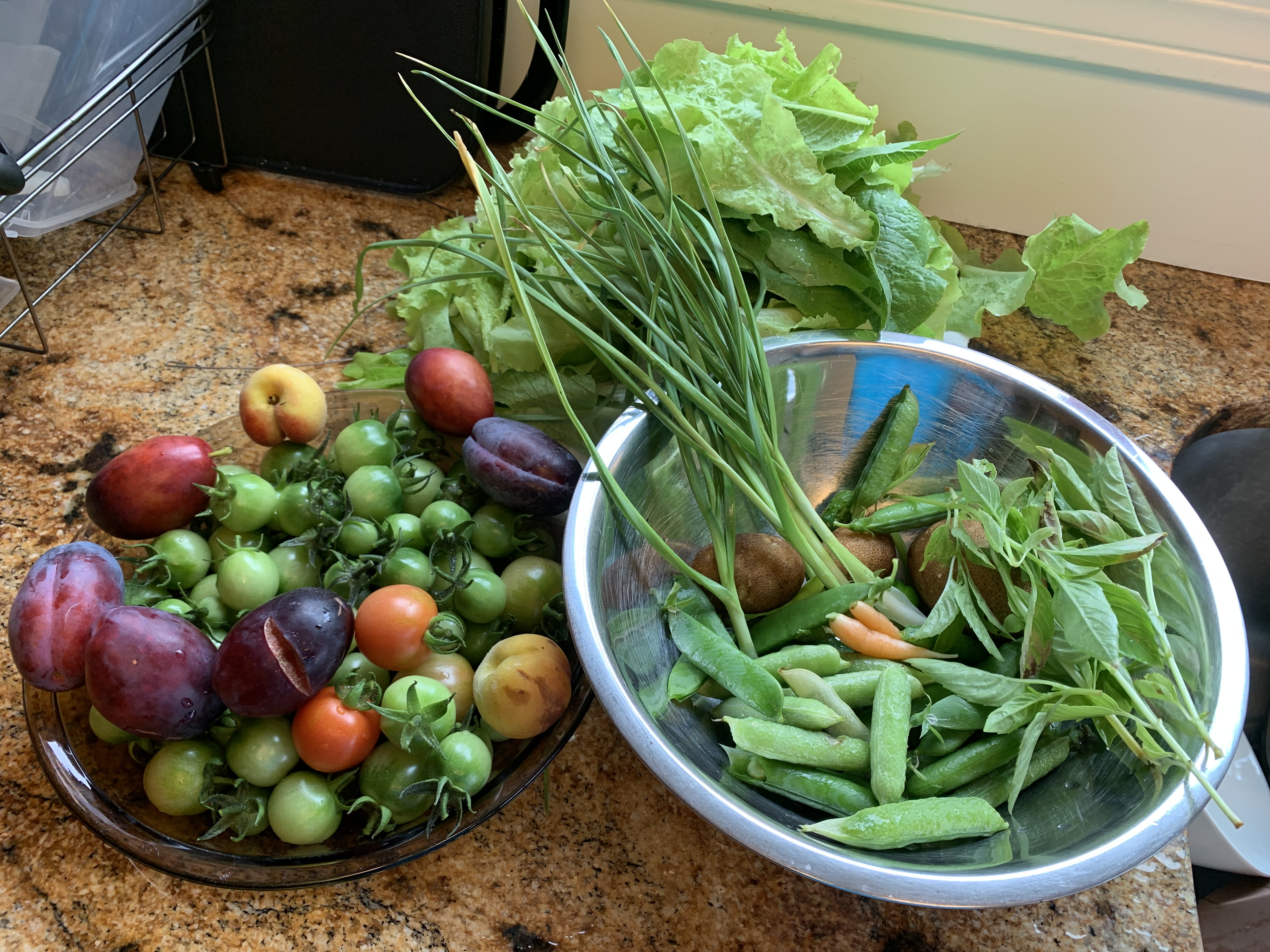 7 Easy Steps to GO GREEN