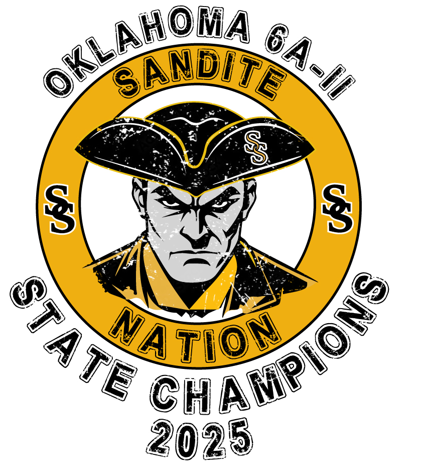 Youth Sandite Champs focus Hooded Sweatshirt. - Youth Sandite Champs focus Hooded Sweatshirt. - Image 3 of 3