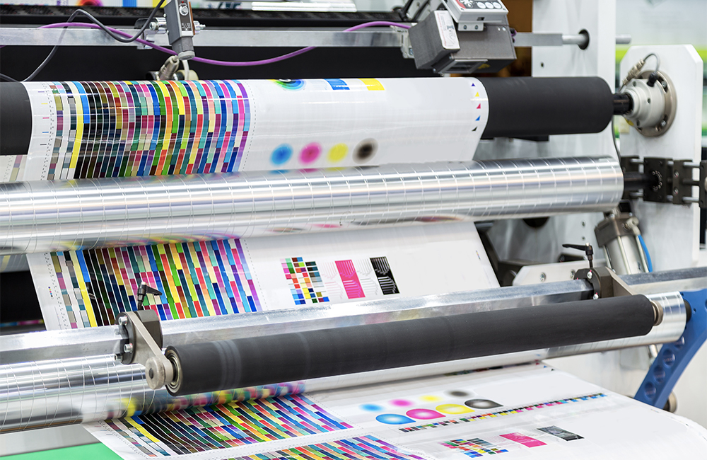 white and gray headphones