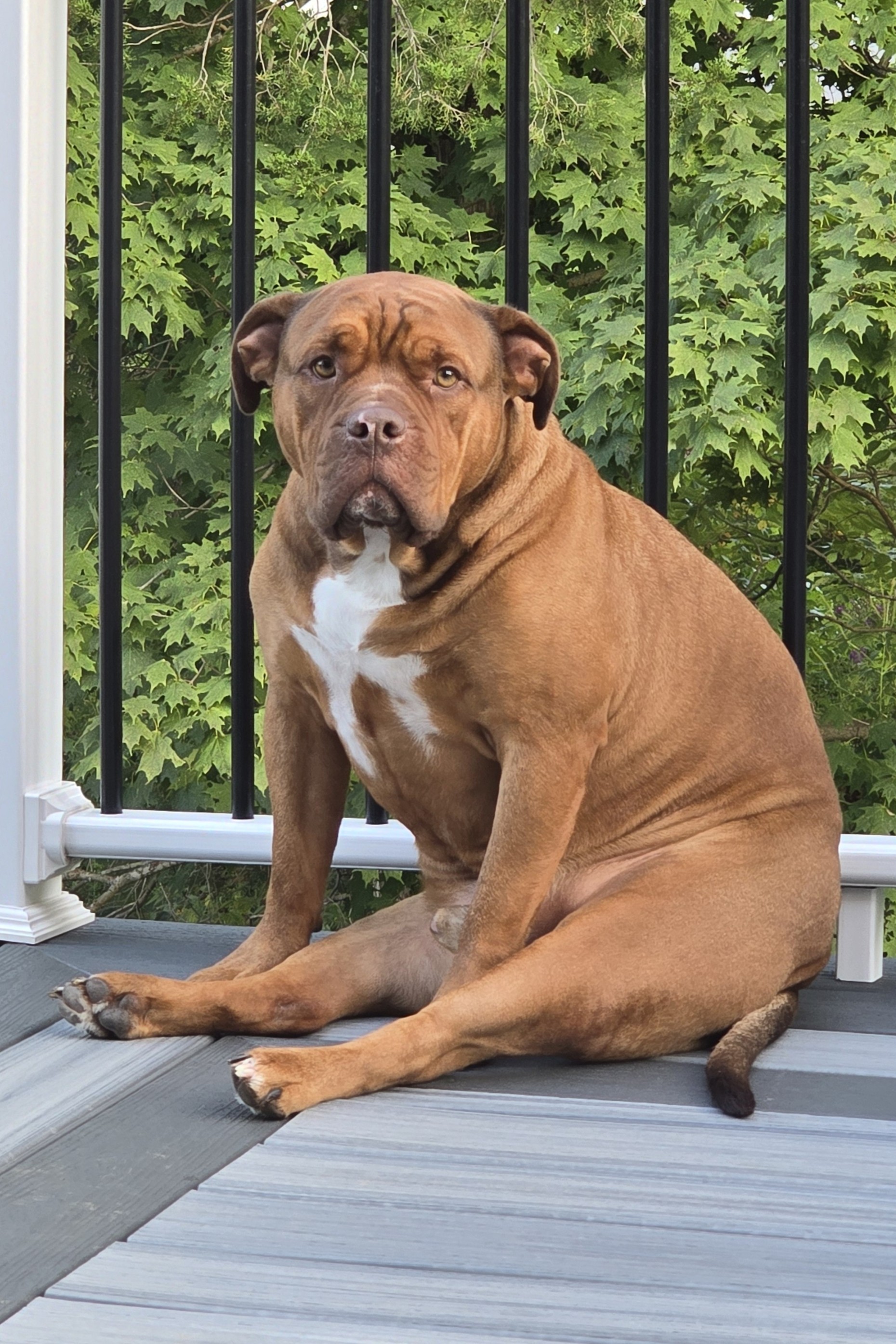 Sebastian - H.R. Dept.