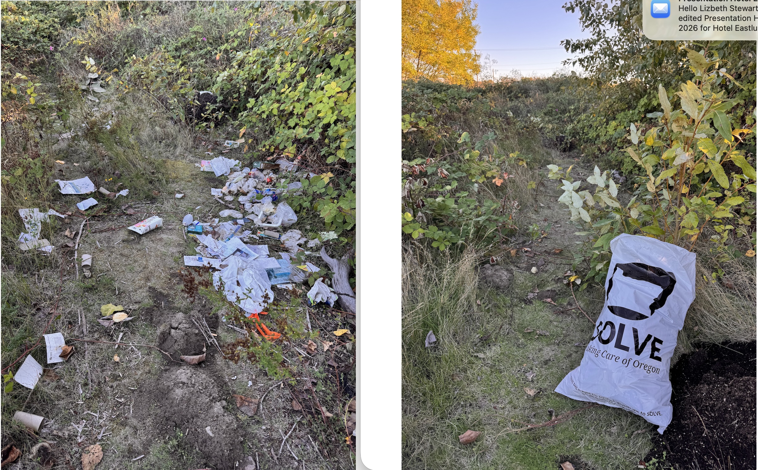 Transforming a Neighborhood Dumpsite