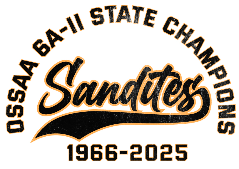 Sandite Champions 66 25 Youth Hooded Sweatshirt. - Sandite Champions 66 25 Youth Hooded Sweatshirt. - Image 3 of 3