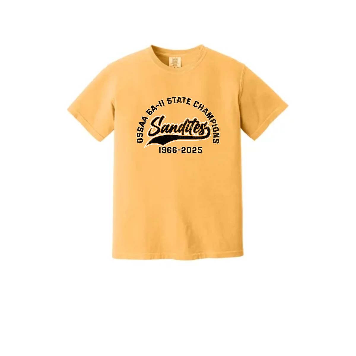 Adult Comfort Colors Champions 66 25 - Adult Comfort Colors Champions 66 25 - Image 1 of 4