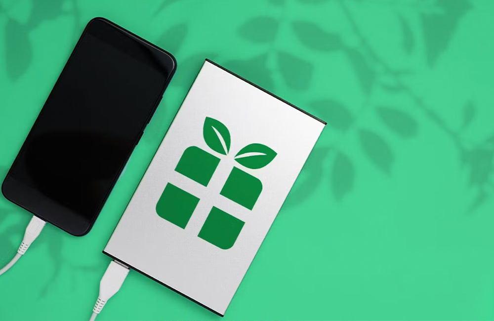 cell phone and power bank