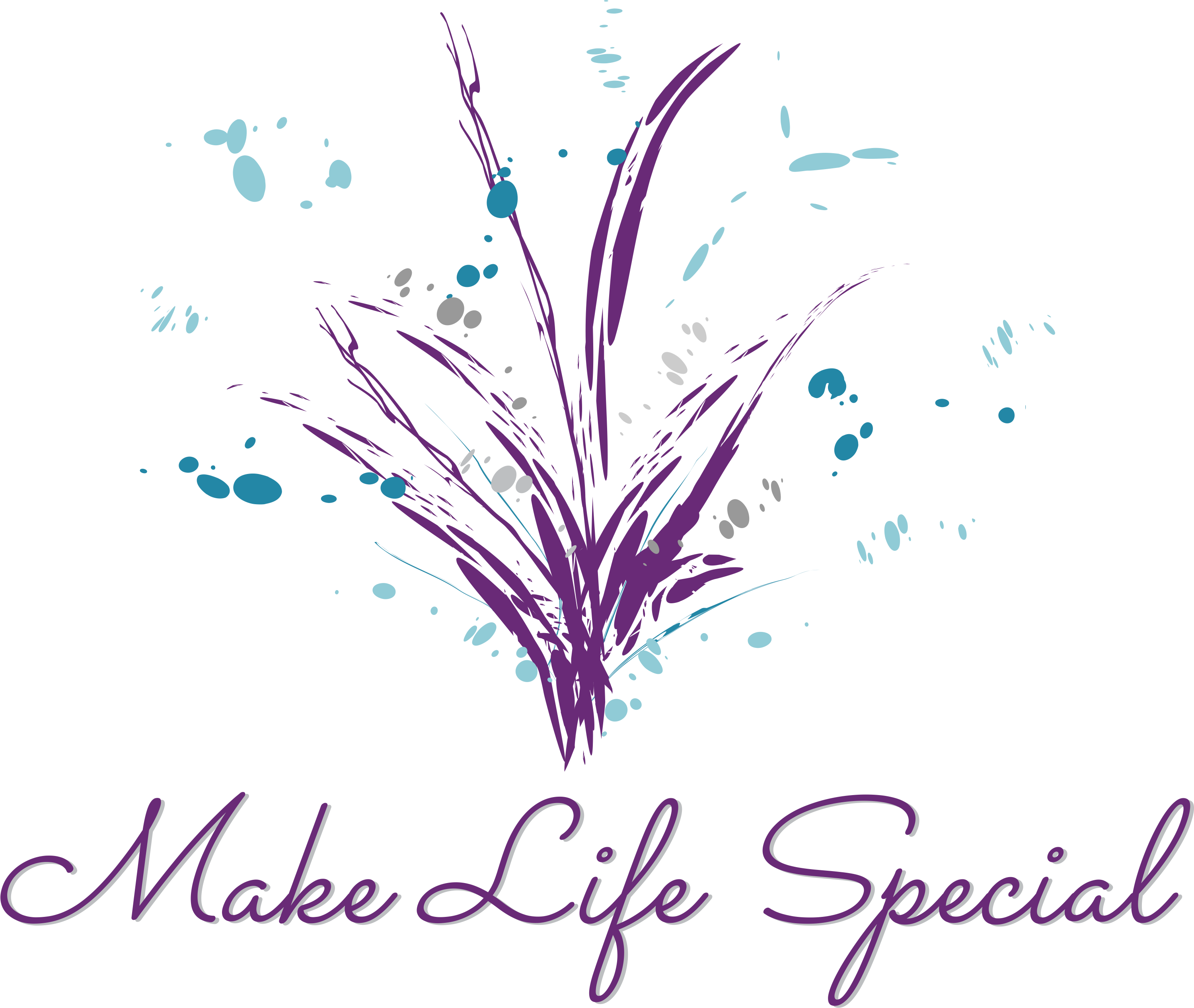 Make Life Special LLC